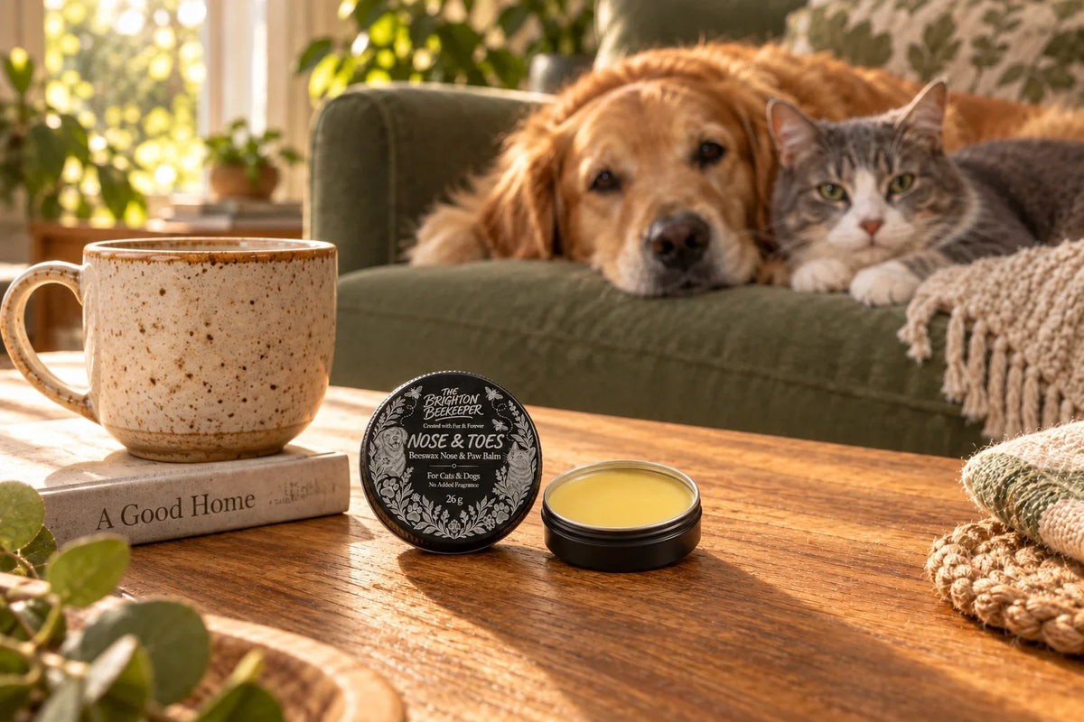 Nose & Toes nose and paw balm with a golden retriever and tabby cat