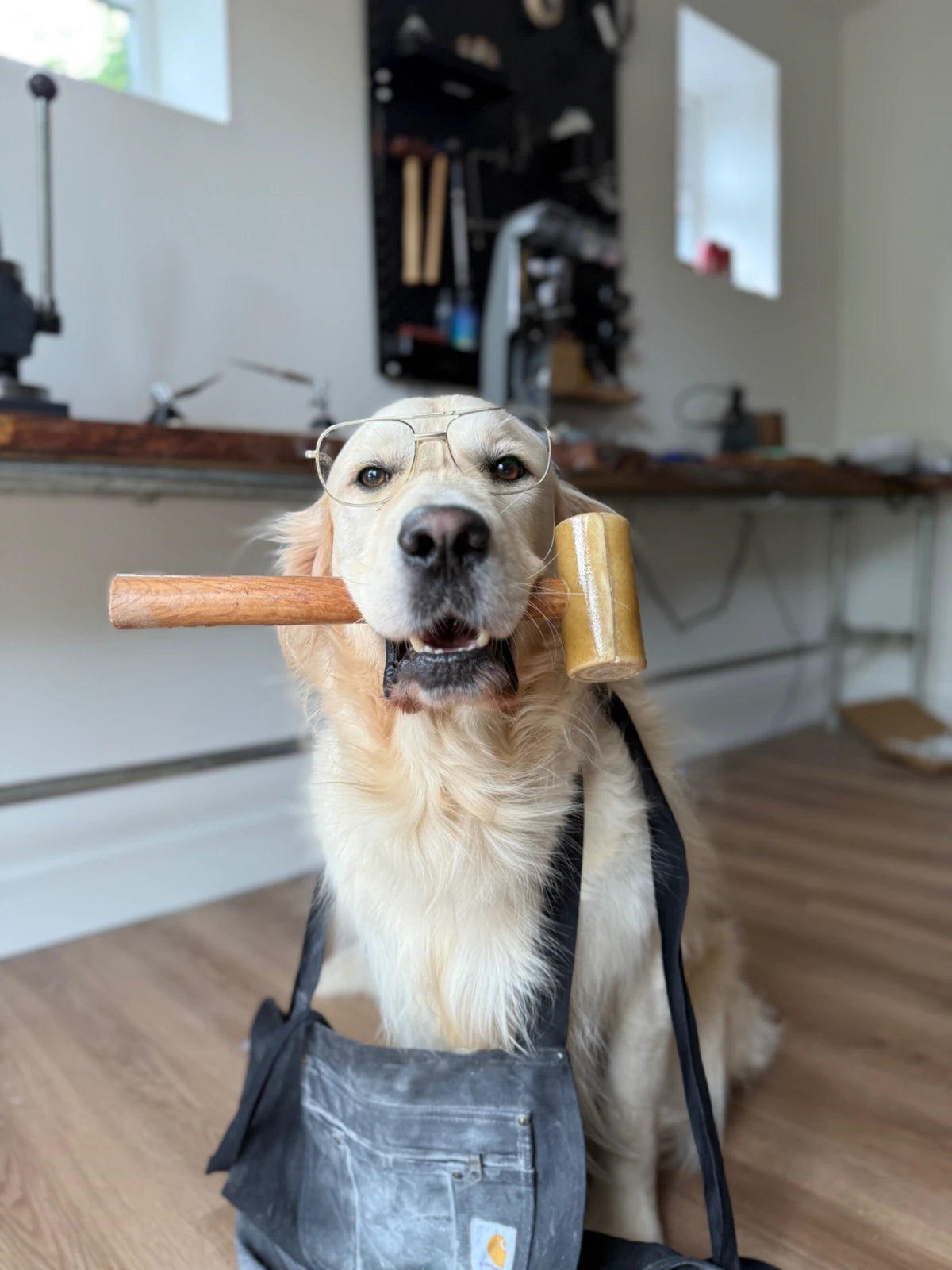 Monty the golden retriever in the Fur & Forever workshop, wearing glasses and an apron and holding a jeweller’s mallet